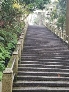 白山比咩神社　二の鳥居から三の鳥居を見上げる