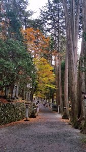 三峯神社の参道 三峯神社の参道