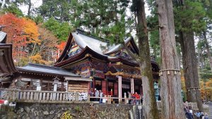 三峯神社のご神木と拝殿 三峯神社のご神木と拝殿
