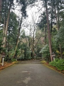 白山比咩神社の表参道