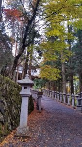 三峯神社の参道と石灯篭 三峯神社の参道と石灯篭