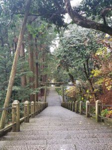 白山比咩神社　三の鳥居から二の鳥居と表参道を見下ろす