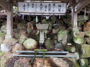 白山比咩神社のお手水舎