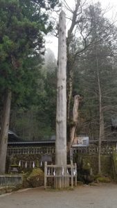 御柱 本宮一之奥柱 御柱 本宮一之奥柱