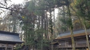 諏訪大社上社本宮 諏訪大社諏訪大社上社本宮