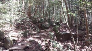 筑波山登山道 迎場コース