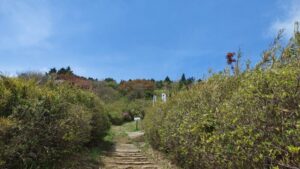 筑波山 おたつ石コース